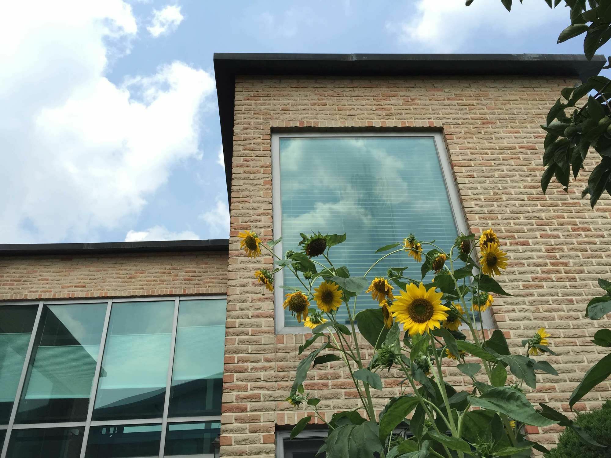 Puzzlestay House Seul Esterno foto