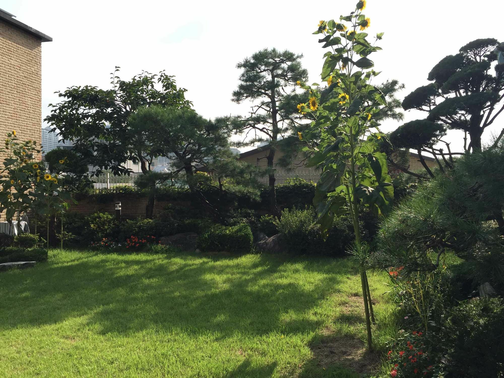 Puzzlestay House Seul Esterno foto